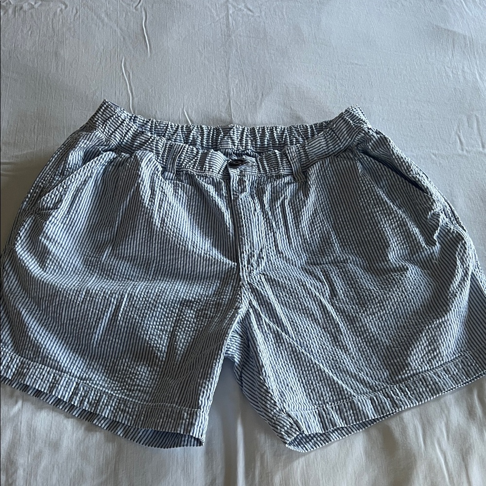 Chubbies Blue and White Striped Men's Shorts